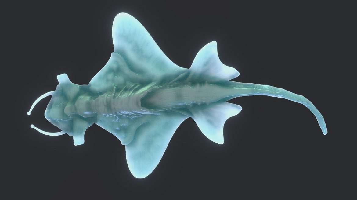 deep diver fish.thumb