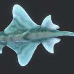 deep diver fish.thumb