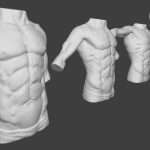 Moving male torso anatomy