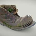 Old Boot With Cactus Plant