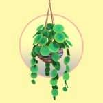 Round Leaf Hanging Houseplant