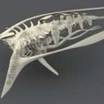 Ship 7 – Bio ship concept