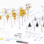 Forest Adventure Pack