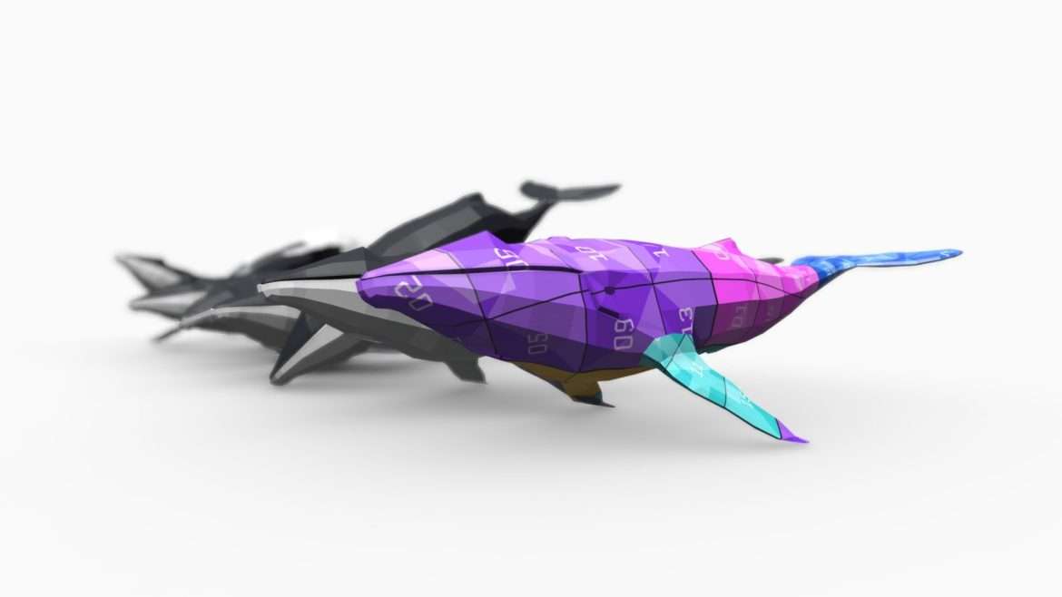 humpback whale.thumb