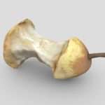 Pear Stub Game Ready