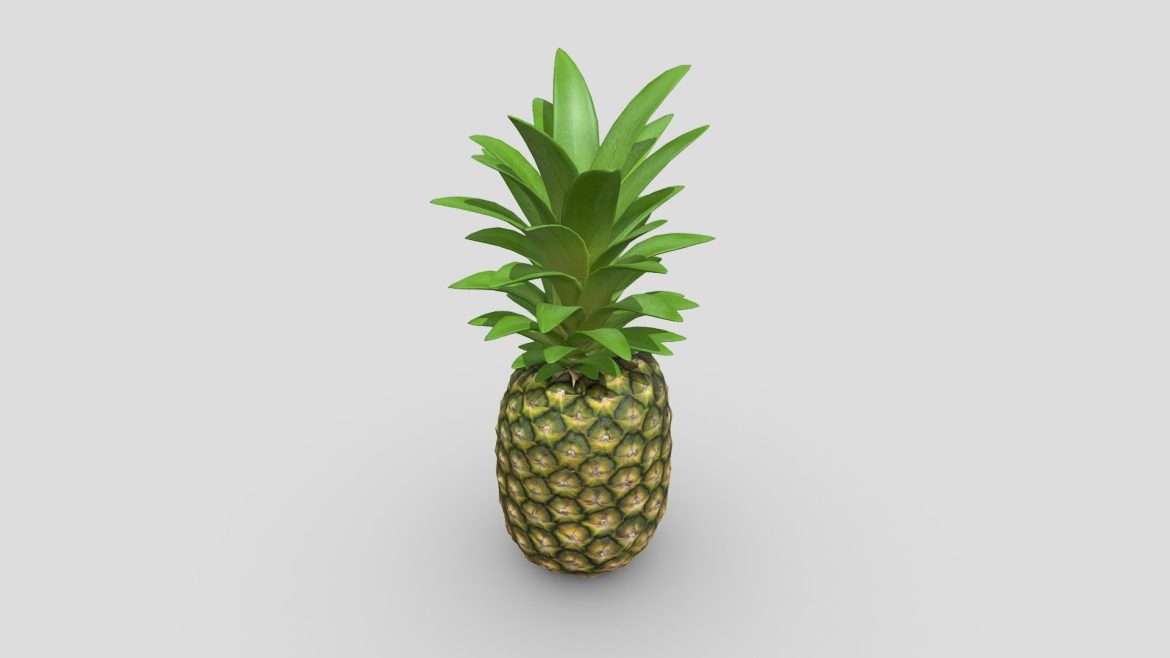 pineapple game ready.thumb