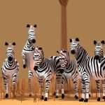 Zebras