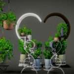 Hanging Pots Collection with Plant Stands