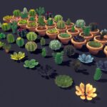 Succulent Plant Pack 02