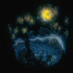 Vincent Van Gogh’s the Starry Night