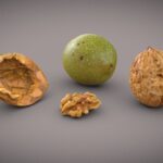 Walnut Pack