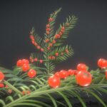 Yew Taxus Baccata Branch (High-Poly)