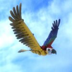 MECH_PARROT_FLIGHT