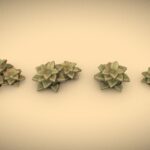 Space Bush 2 – Preview