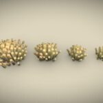 Space Bush 3 – Preview